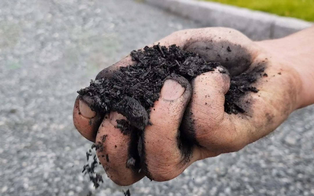 Biokull – bondens nye gull?