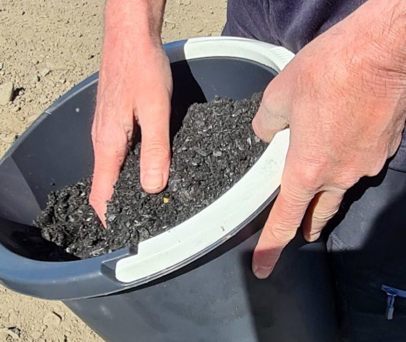 Biokull er et karbonlager