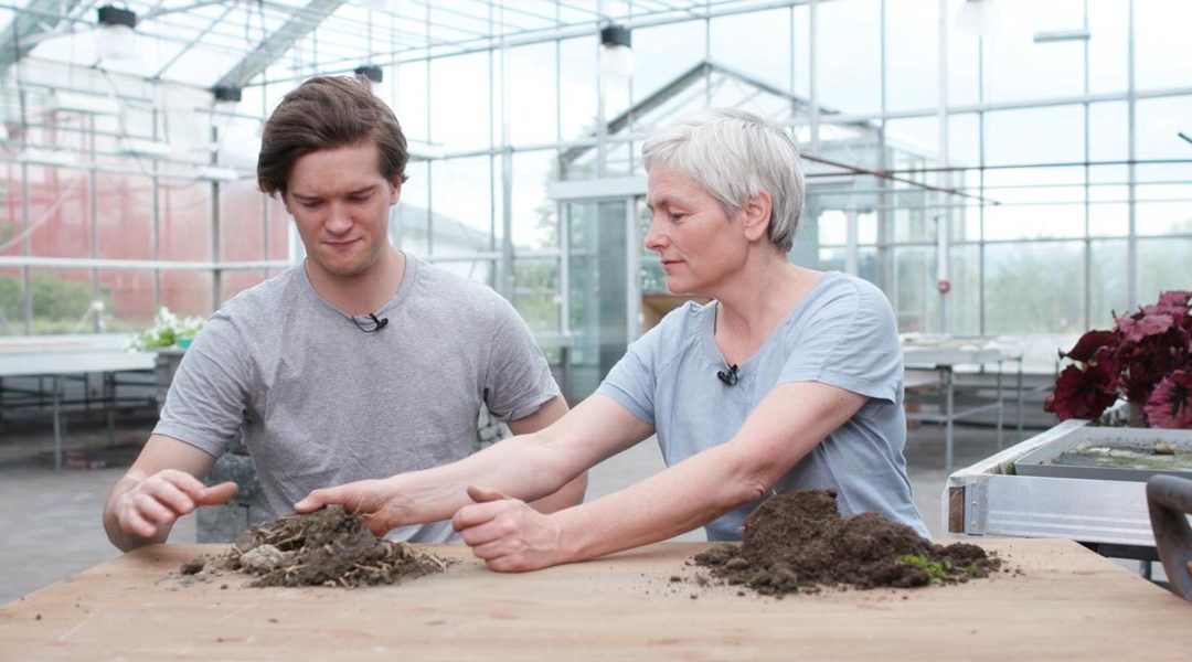 Løsninger for energibruk og energiforsyning ved nullutslippsgården