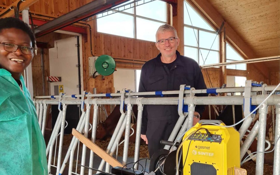 Å ta ut metan fra fjøslufta