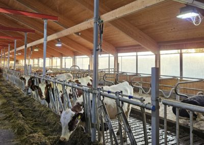 Bytte til LED-lys i husdyrrom