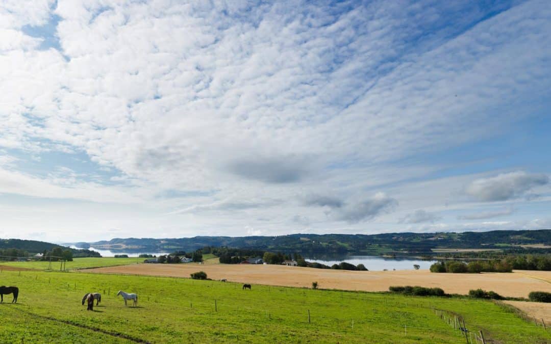Landbruket som energiprodusent
