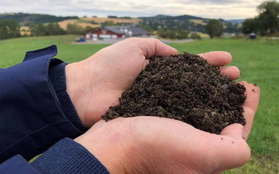 Jordkarbonets hemmeligheter