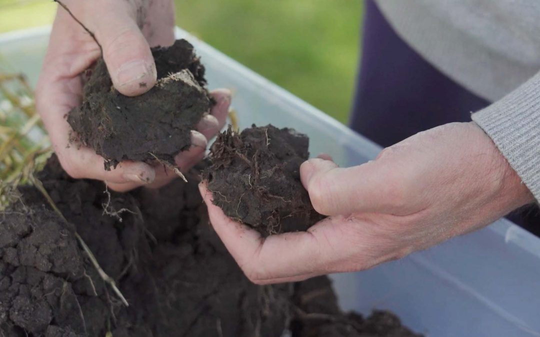 Et visuelt møte med livet i jorda