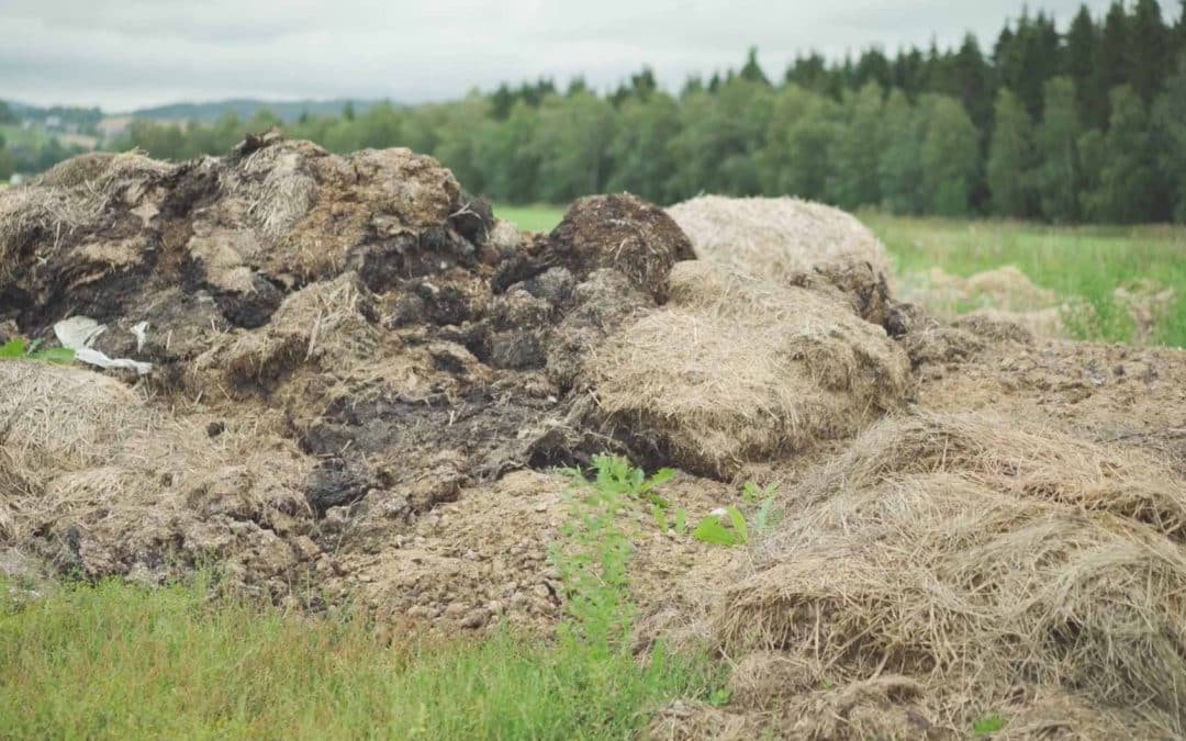 Komposterings-prosessen