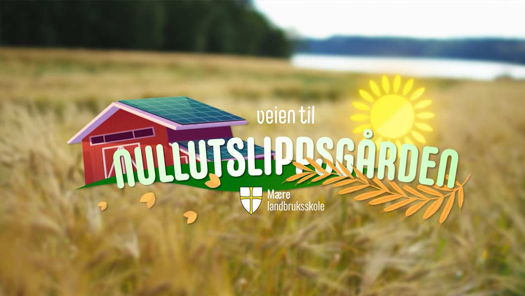 Vi setter klimaet i spill