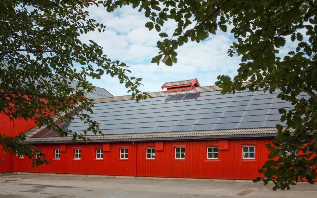 Solcelle-anlegget gir lys til tomatene