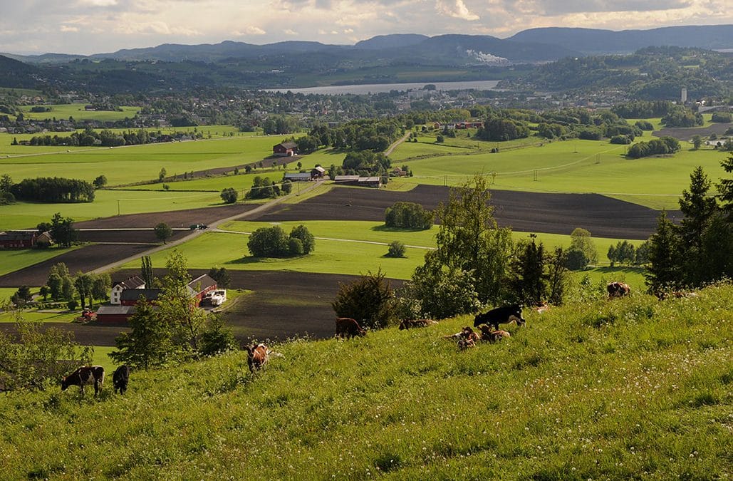 Regenerativt landbruk