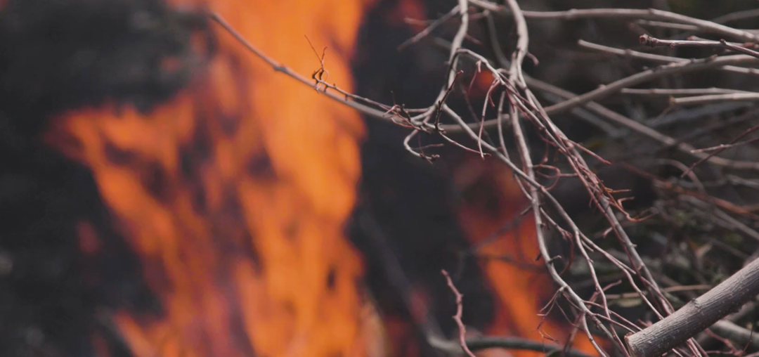 Vi fyrer og forsker på klimautslipp