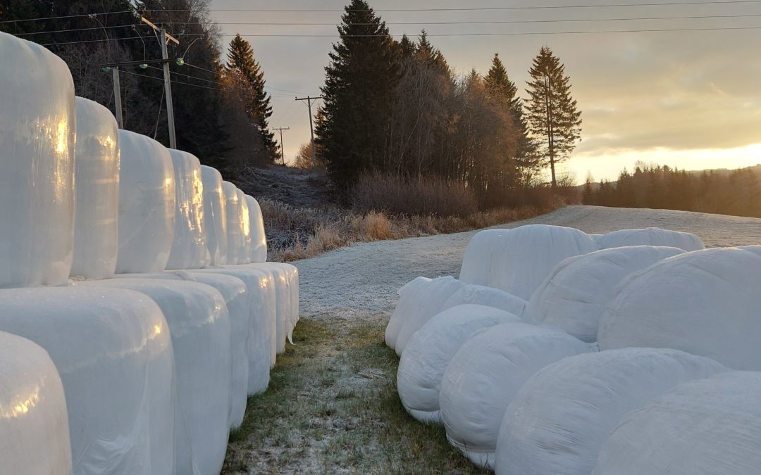 Rundballeplast – til glede og besvær