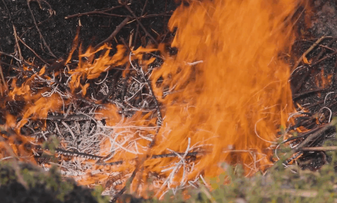 Q&A om biokull og biokullanlegget på Mære